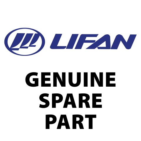 Lifan Starter Motor Assembly LFE28000/168F