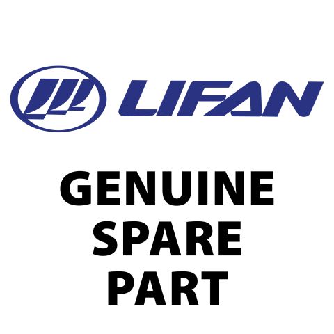Danau Lifan Replacement Lifan Engine To Suit DAN3600A DAN3600A-ENGINE